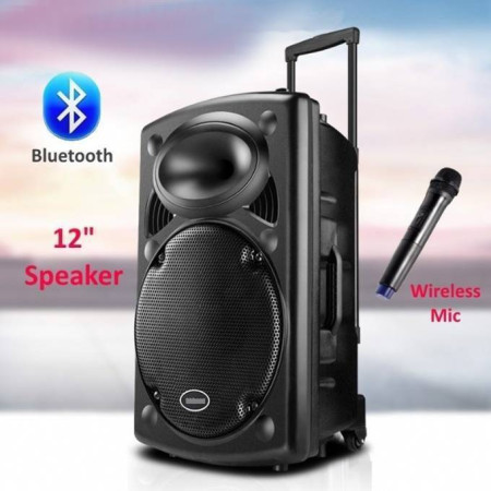 Rechargeable Bluetooth Karaoke Trolly Speaker With Wireless Microphone